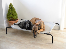 Coolaroo lit pour chien - Taille Grand :Photo 8